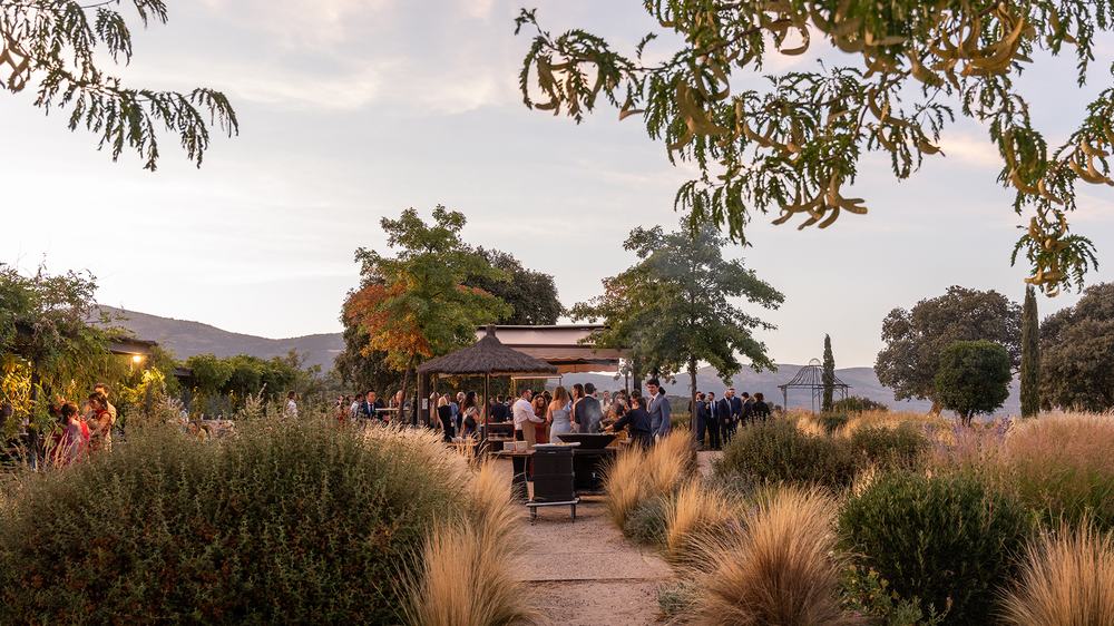 La terraza de El Jaral de la Mira al atardecer, con gente reunida entre las gramíneas y los árboles al fondo.
