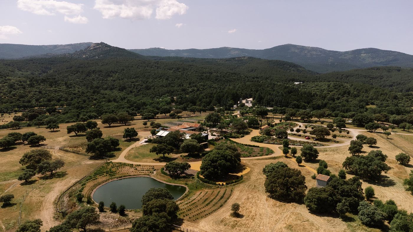 El Jaral de la Mira desde el aire: la dehesa de encinas, la charca y las edificaciones al fondo, con la sierra en el horizonte.