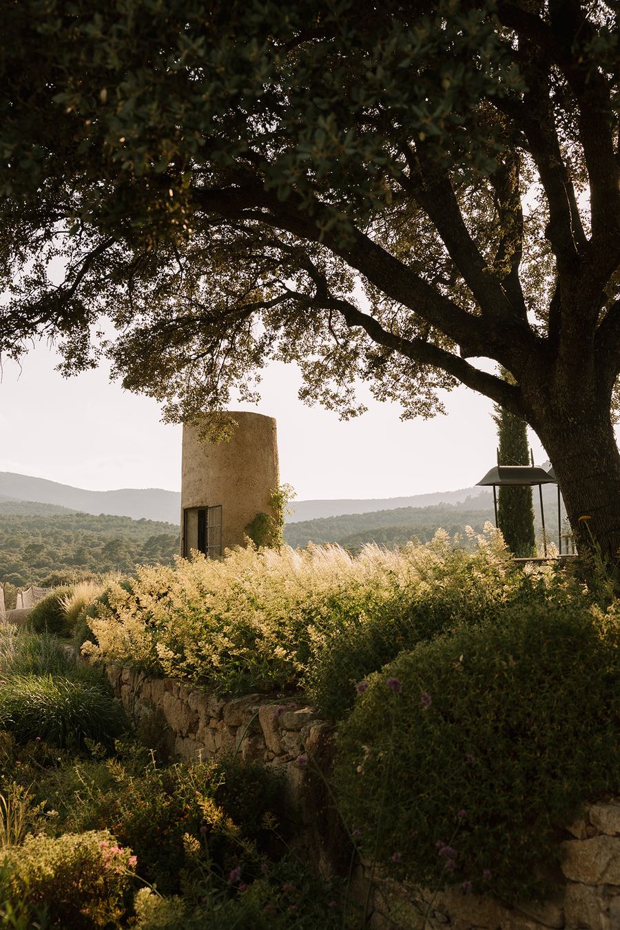 El molino de Felipe II en El Jaral de la Mira, entre encinas y gramíneas, con la sierra al fondo.